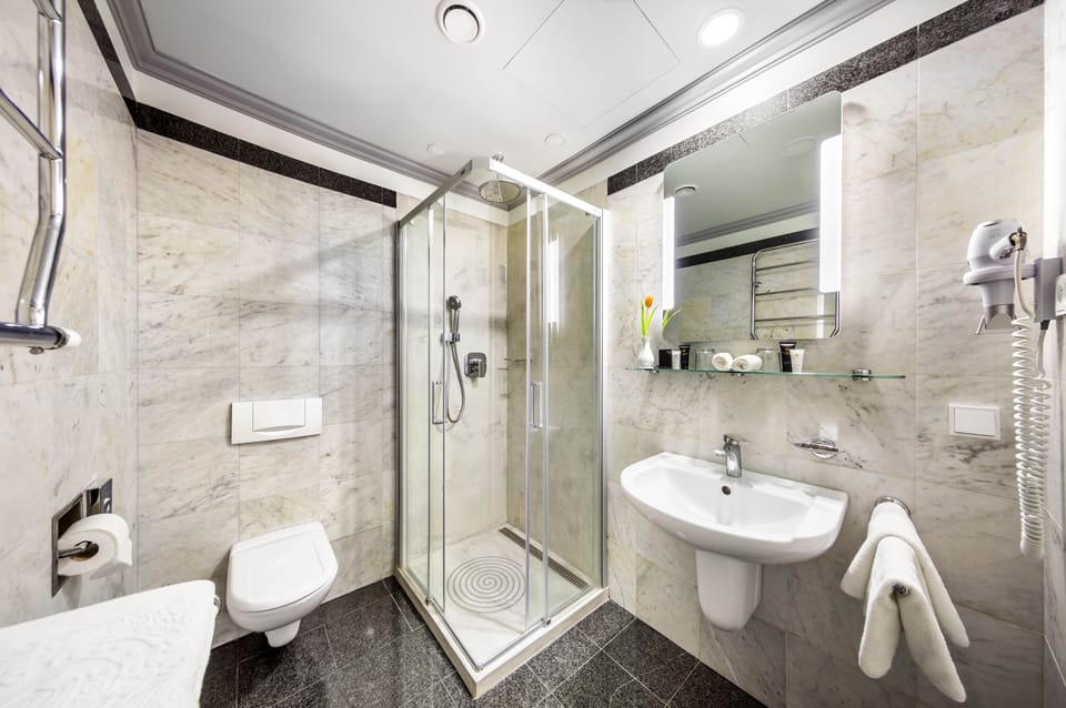 Shower, hair dryer, towels