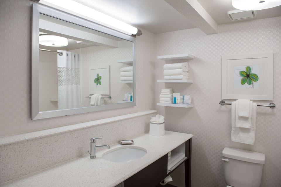 Combined shower/tub, free toiletries, hair dryer, towels