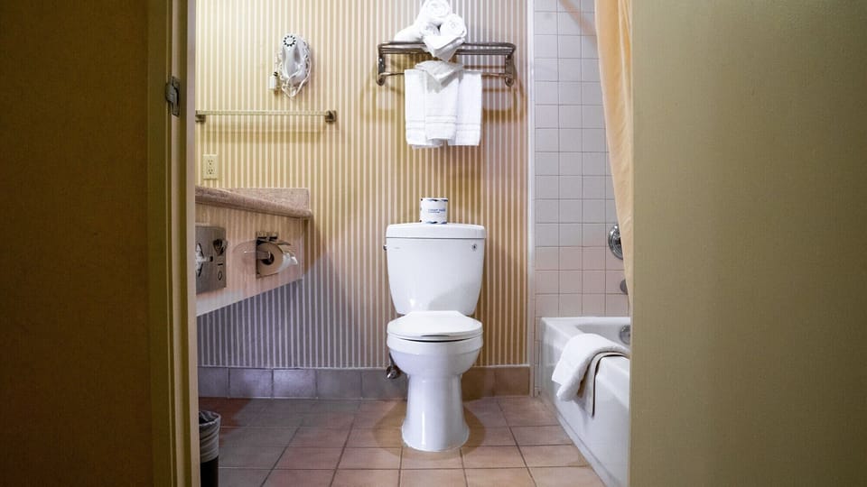 Shower, free toiletries, hair dryer, towels