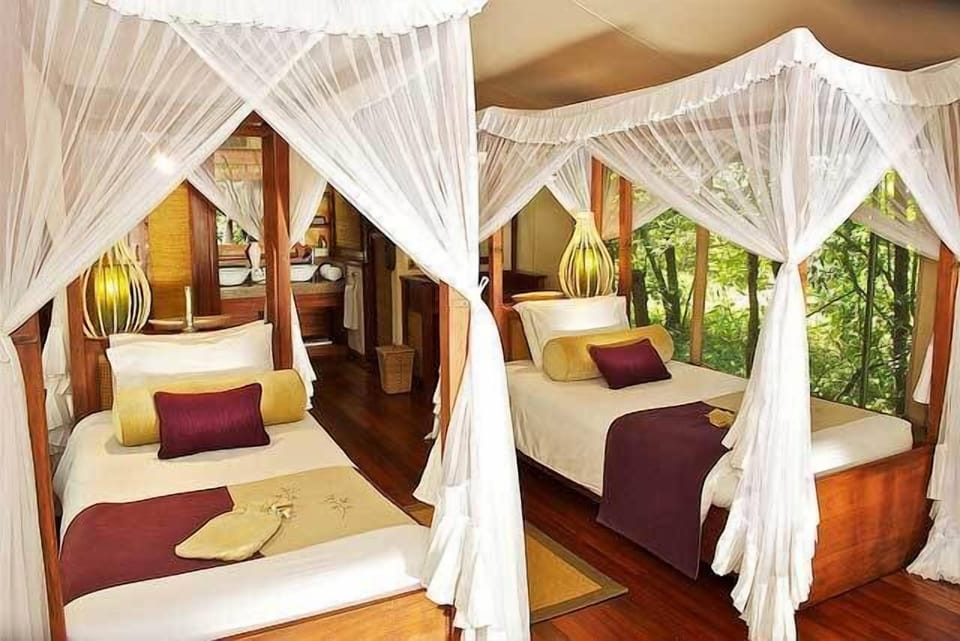Premium bedding, pillowtop beds, minibar, desk