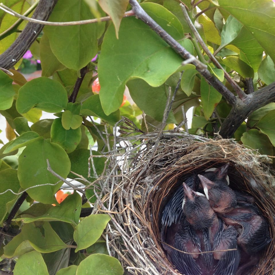 Children's activities