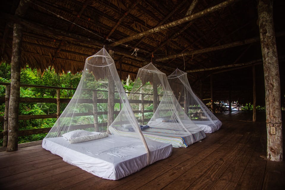 Basic Room | Bed sheets