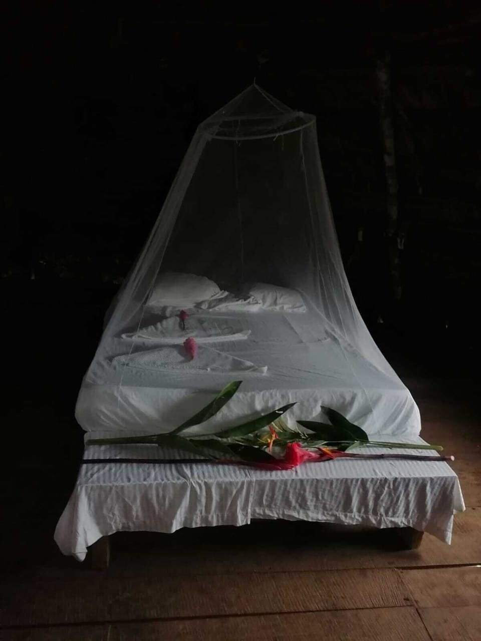 Executive Double Room | Bed sheets
