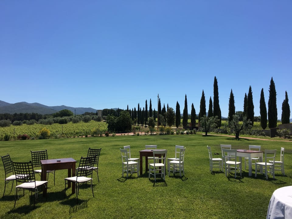 Outdoor wedding area