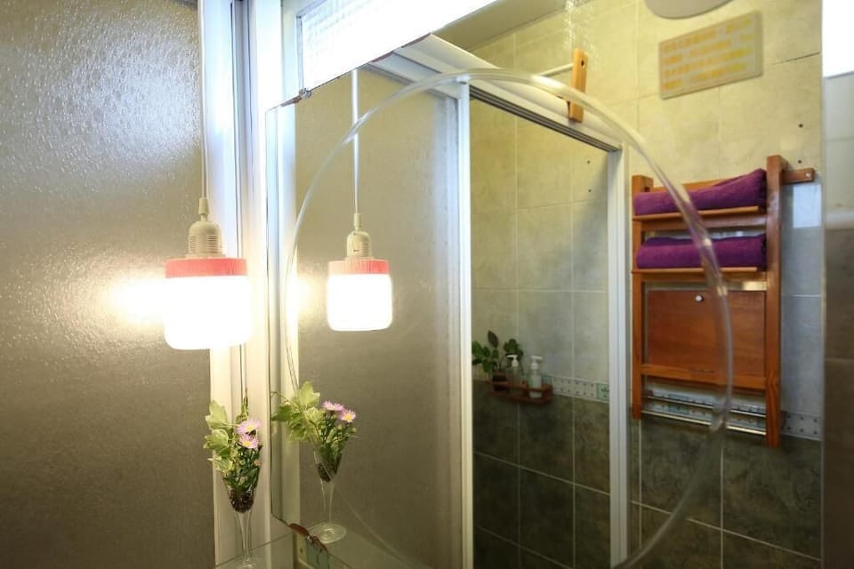 Double Room (Air) | Bathroom | Shower, hair dryer, slippers, towels