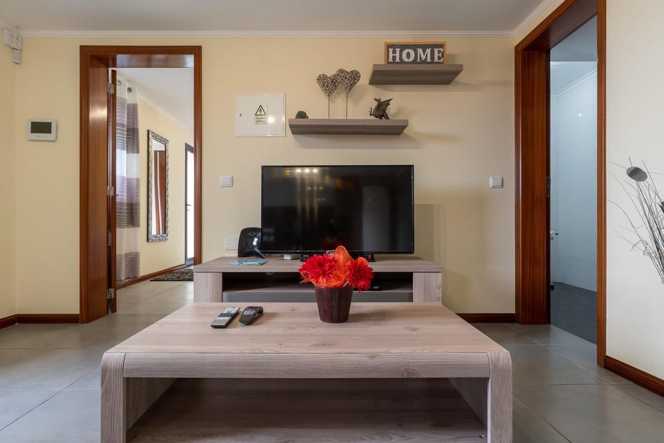 Flat-screen TV