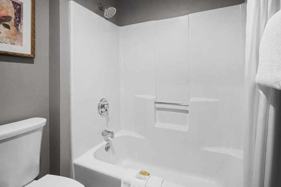 Combined shower/tub, free toiletries, hair dryer, towels