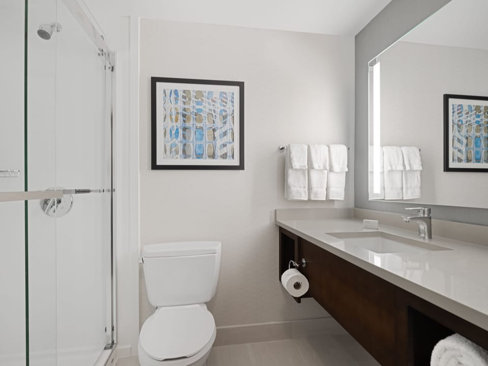 Free toiletries, hair dryer, towels