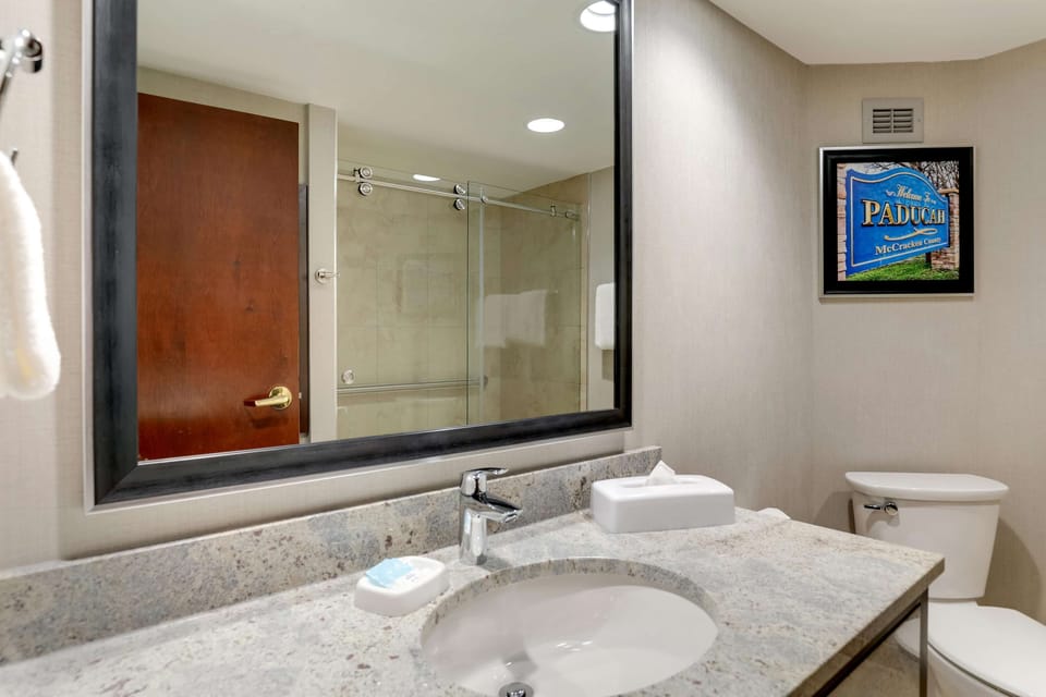 Combined shower/tub, free toiletries, hair dryer, towels