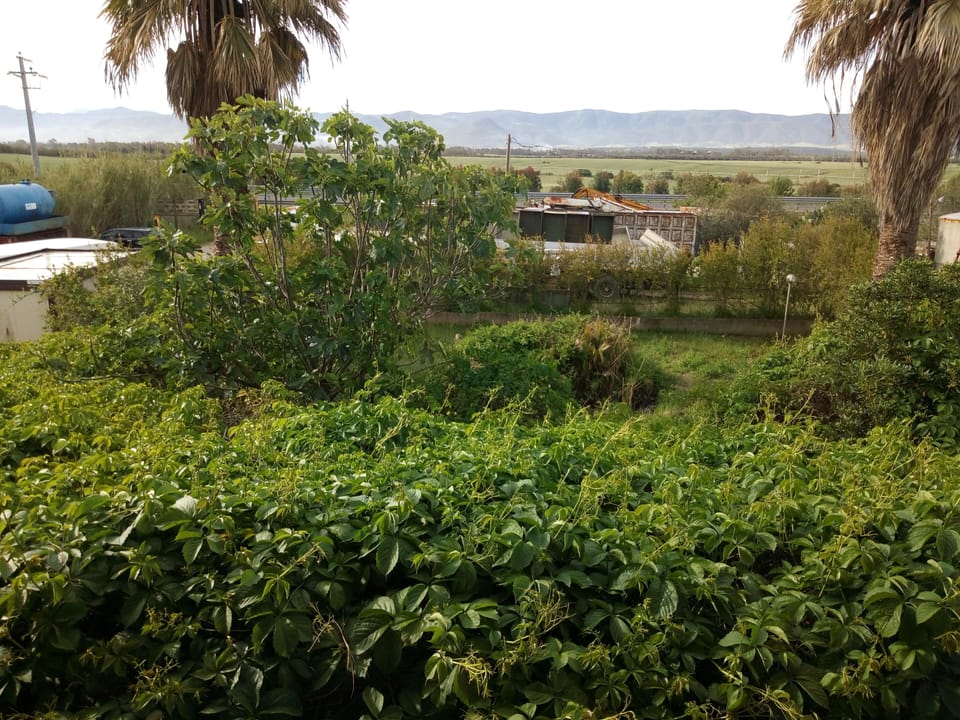 Individually decorated, desk, laptop workspace, blackout drapes