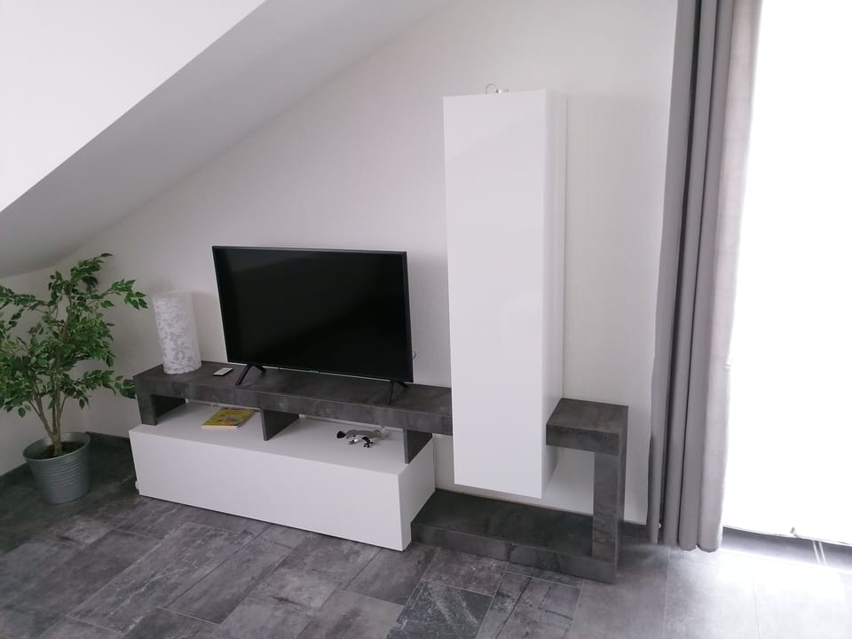 Television