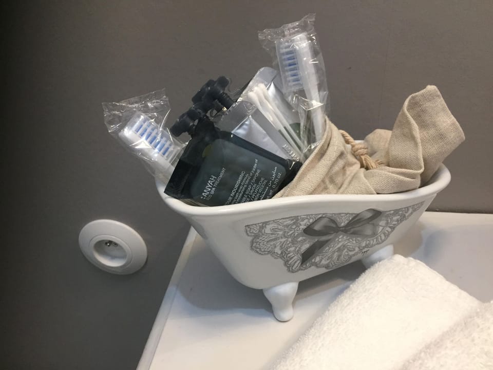 Deluxe Double Room, Non Smoking | Bathroom amenities | Shower, rainfall showerhead, free toiletries, hair dryer