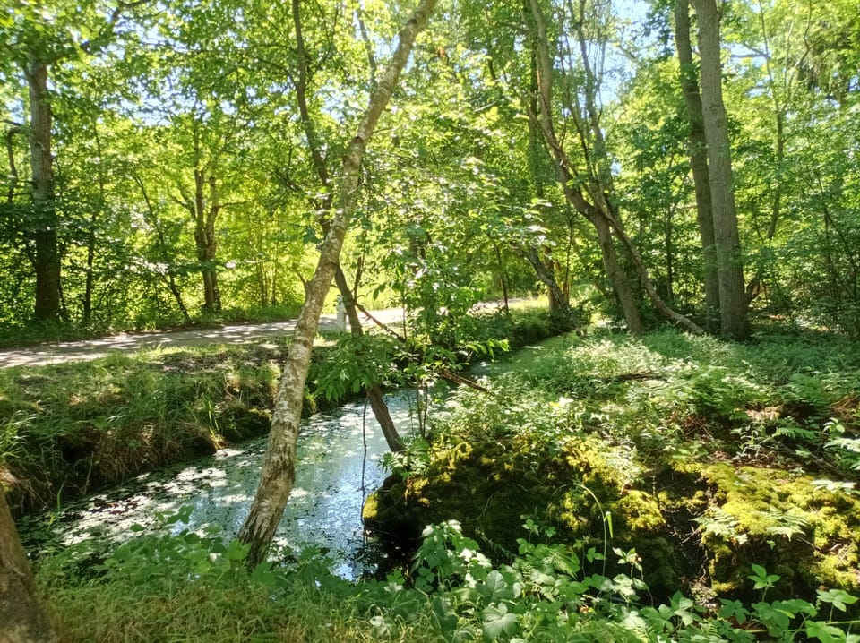 Land view from property