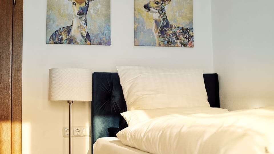 Premium bedding, down comforters, Tempur-Pedic beds, desk