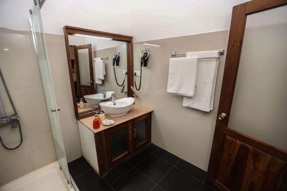 Deluxe Double Room | Bathroom | Shower, free toiletries, hair dryer, bidet