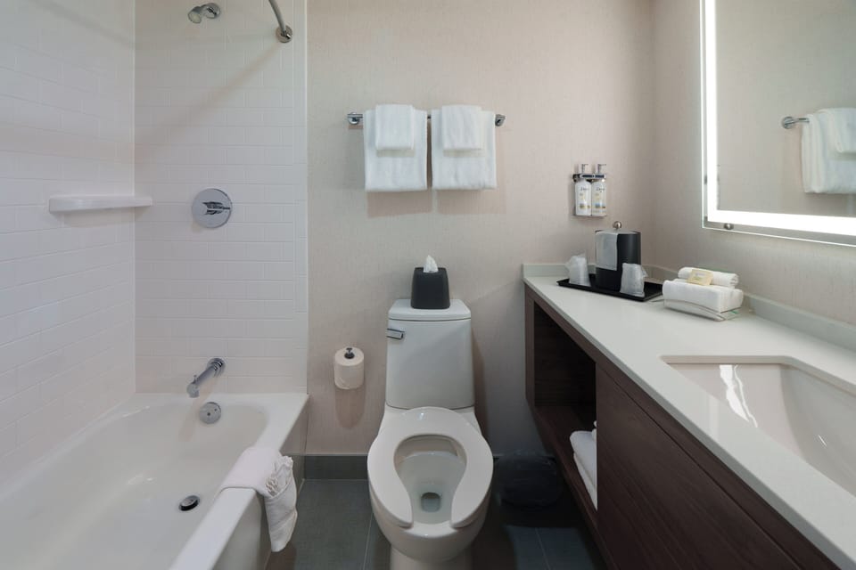 Premium Room, 2 Queen Beds | Bathroom | Hair dryer, towels, soap, shampoo