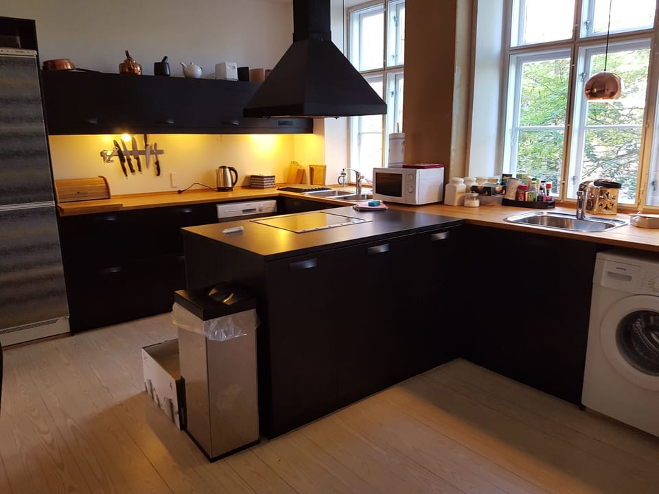 Classic Apartment, 3 Bedrooms, 2 Bathrooms | Private kitchen | Fridge, microwave, oven, stovetop