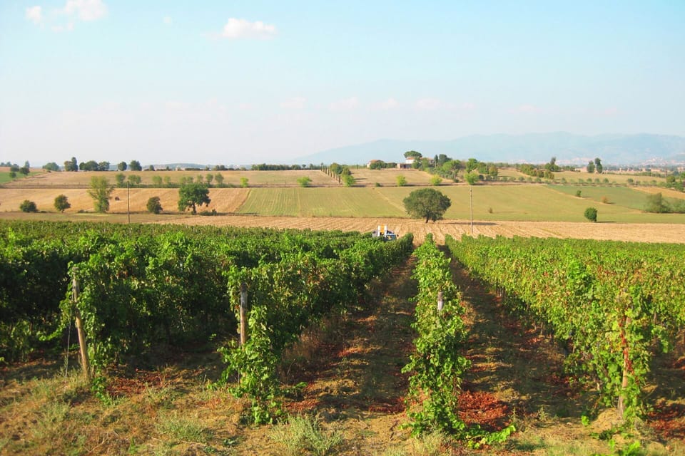 Land view from property