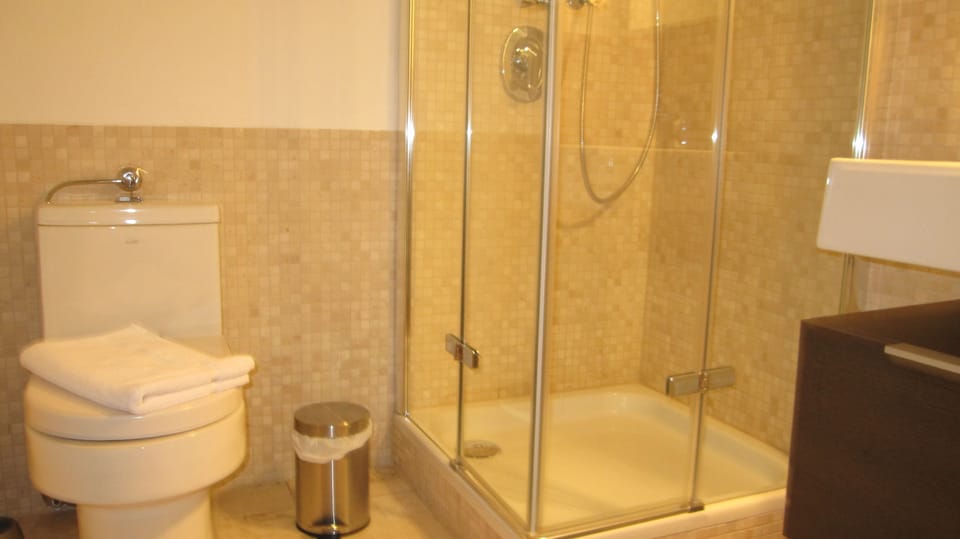 Double Room | Bathroom | Shower, hair dryer, towels, soap