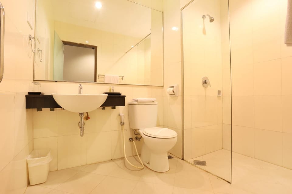 Shower, hair dryer (on request), slippers, bidet