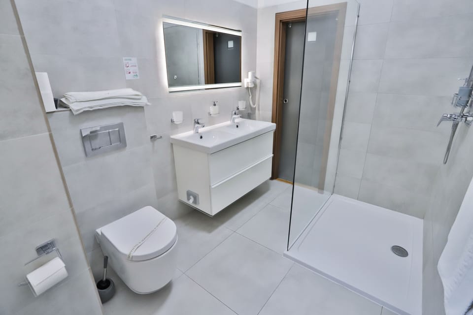 Suite | Bathroom | Free toiletries, hair dryer, towels, toilet paper
