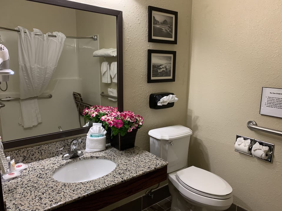 Combined shower/tub, hair dryer, towels