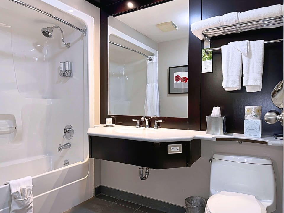 Standard Room, 1 Queen Bed | Bathroom | Free toiletries, hair dryer, towels, soap