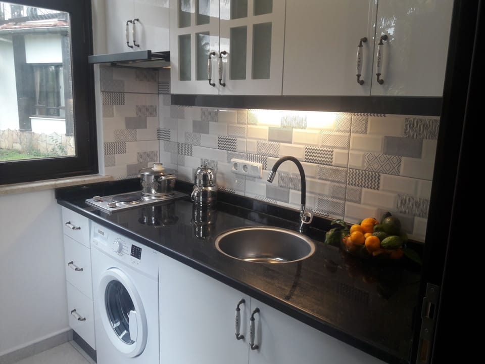 Family Room, 2 Bedrooms, Terrace | Private kitchen | Fridge, coffee/tea maker, electric kettle
