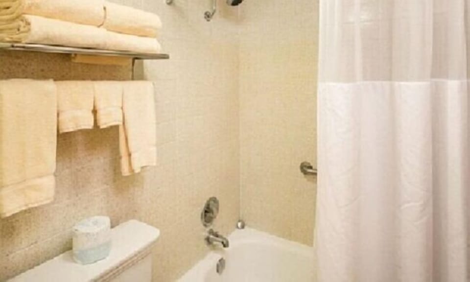 Bathtub, hair dryer, towels