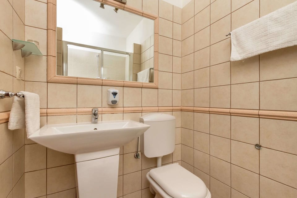 Standard Apartment, 1 Bedroom, Kitchen | Bathroom | Combined shower/tub, free toiletries, hair dryer, towels