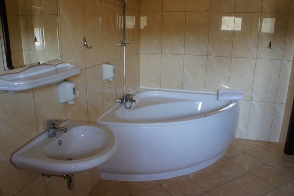 Combined shower/tub, free toiletries, hair dryer, towels