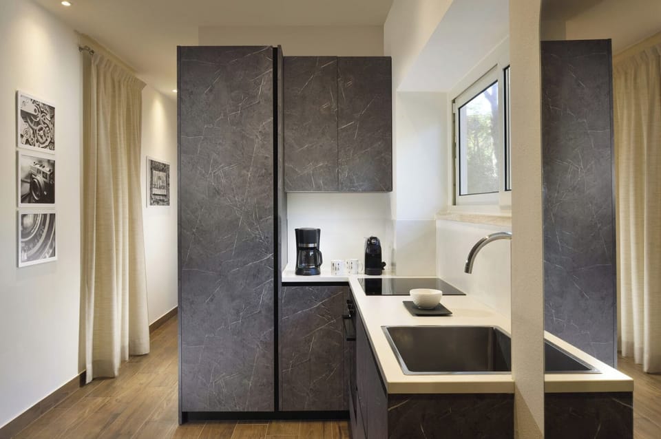 Deluxe Villa | Private kitchen