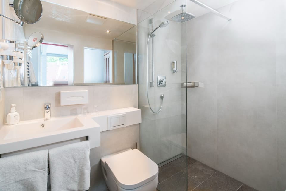 Eco-friendly toiletries, hair dryer, towels