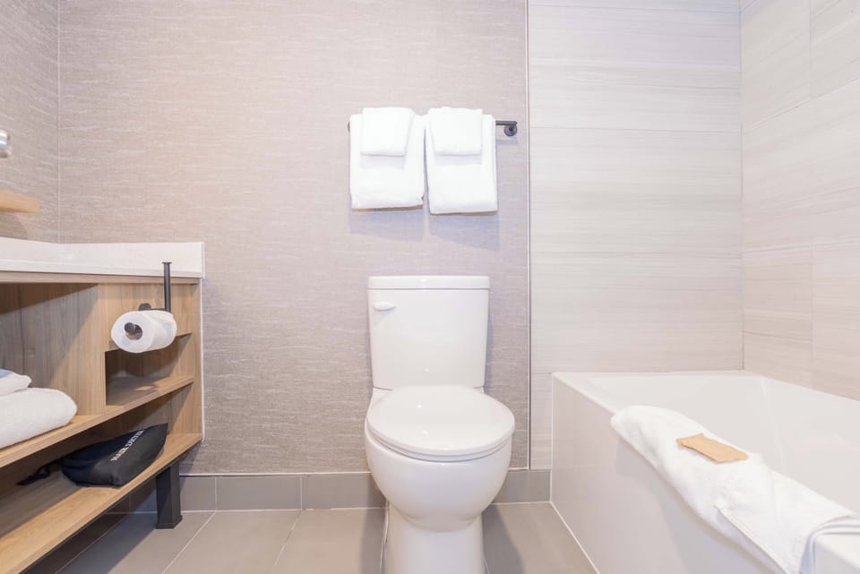 Combined shower/tub, free toiletries, hair dryer, towels