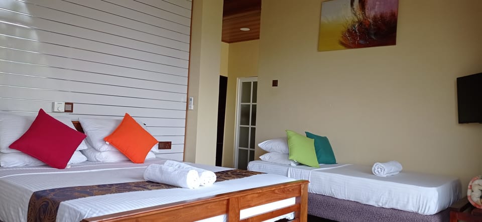 Deluxe Double Room | Individually decorated, individually furnished, desk, laptop workspace