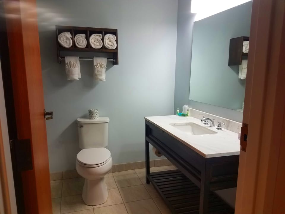 Standard Room, 2 Double Beds | Bathroom | Shower, free toiletries, hair dryer, towels