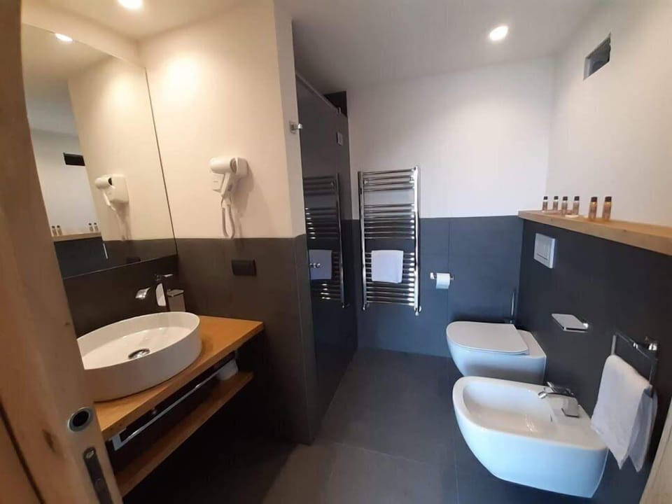 Shower, hair dryer, slippers, bidet