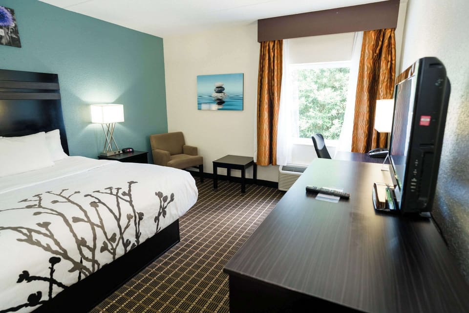 Standard Room, 1 King Bed, Non Smoking | Desk, blackout drapes, iron/ironing board, free cribs/infant beds