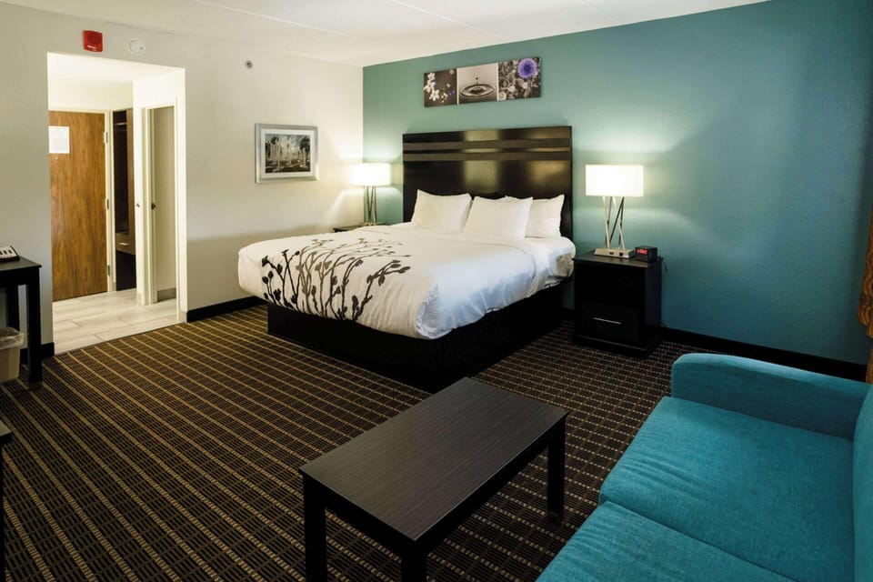 Suite, 1 King Bed with Sofa bed, Non Smoking | Desk, blackout drapes, iron/ironing board, free cribs/infant beds
