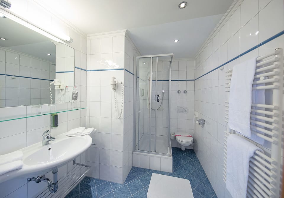 Free toiletries, hair dryer, towels