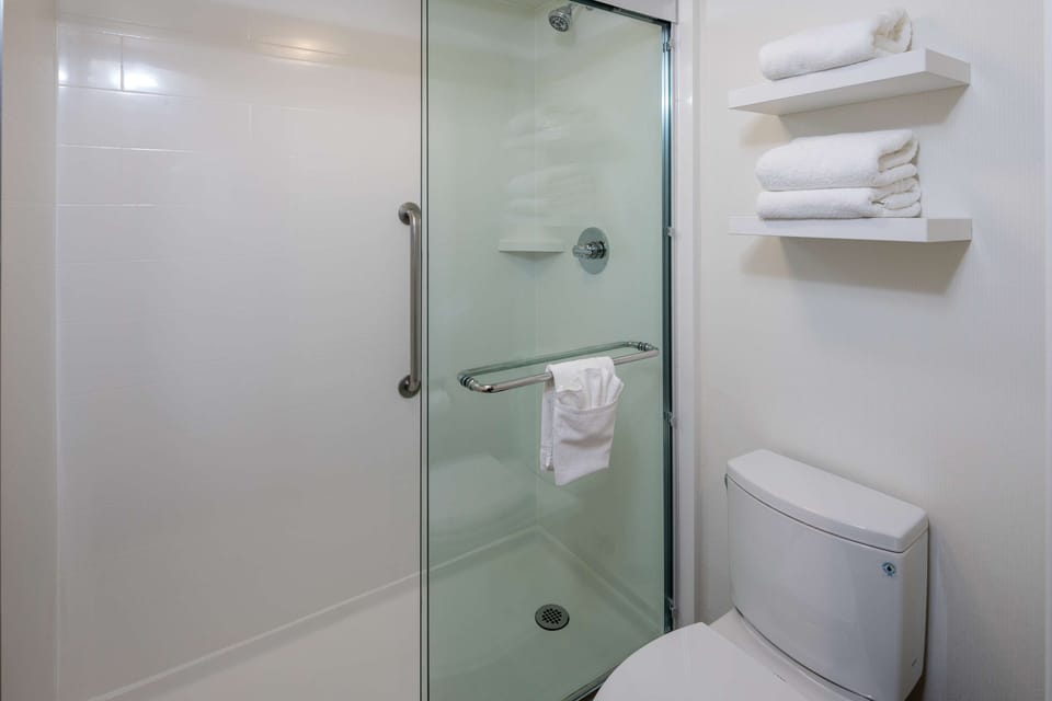Combined shower/tub, free toiletries, hair dryer, towels