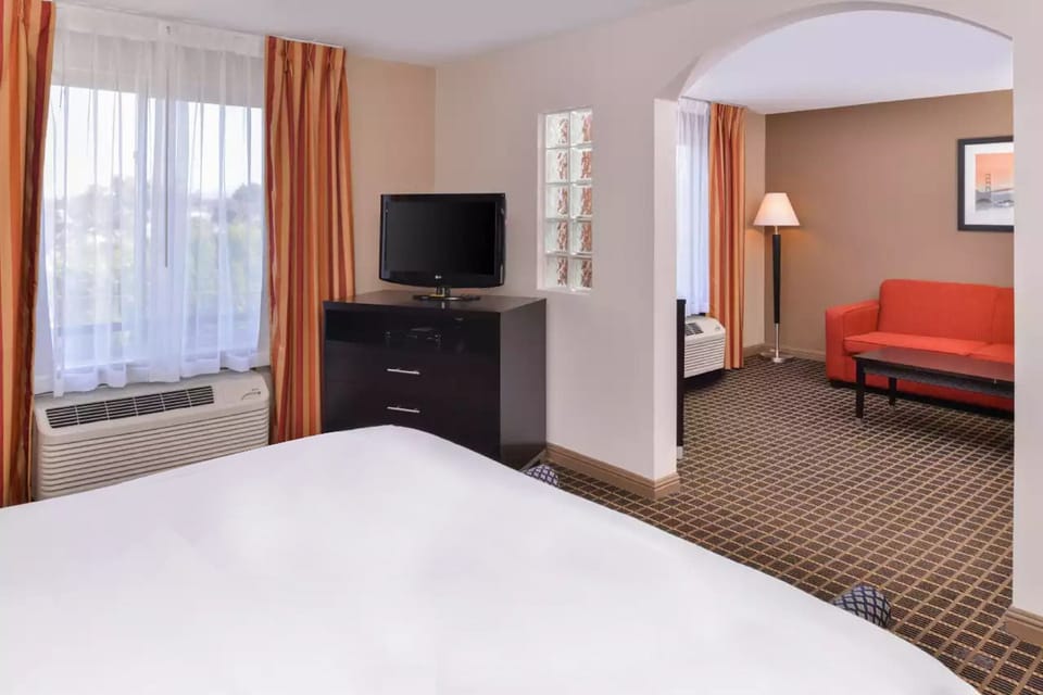 Business Room, 1 King Bed | Desk, blackout drapes, iron/ironing board, free WiFi