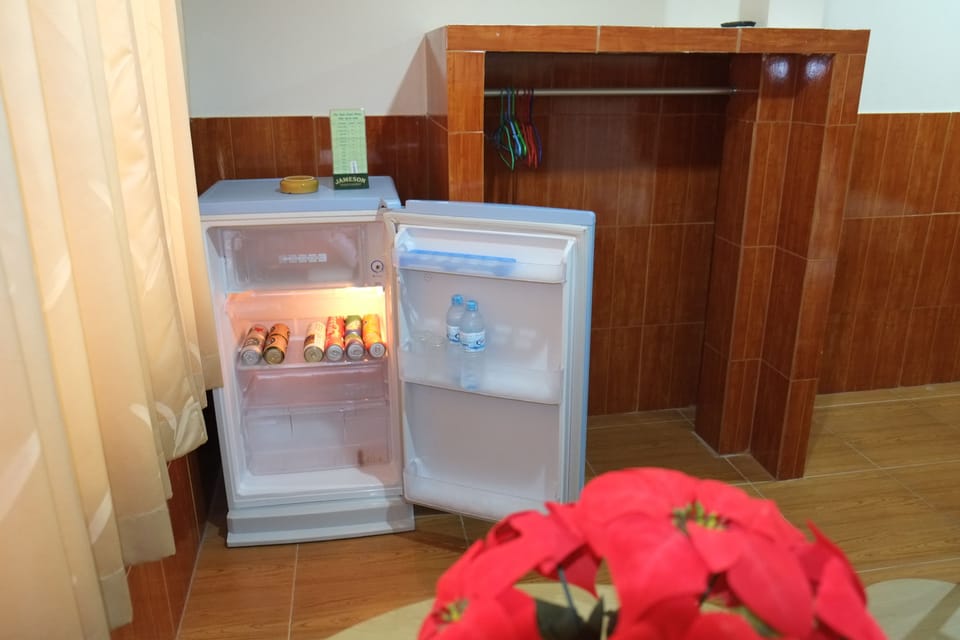 Mini-refrigerator