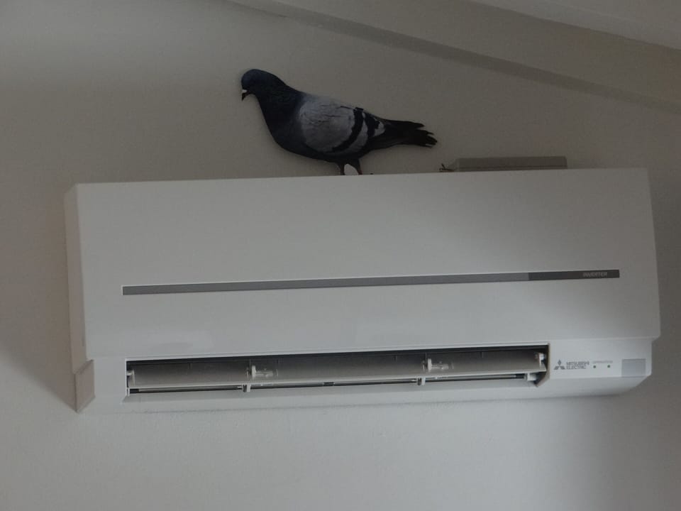 Superior Apartment, 2 Bedrooms | Air conditioning