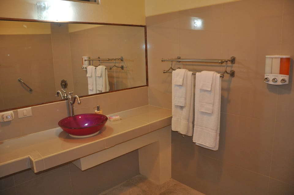 Bathtub, bidet, towels