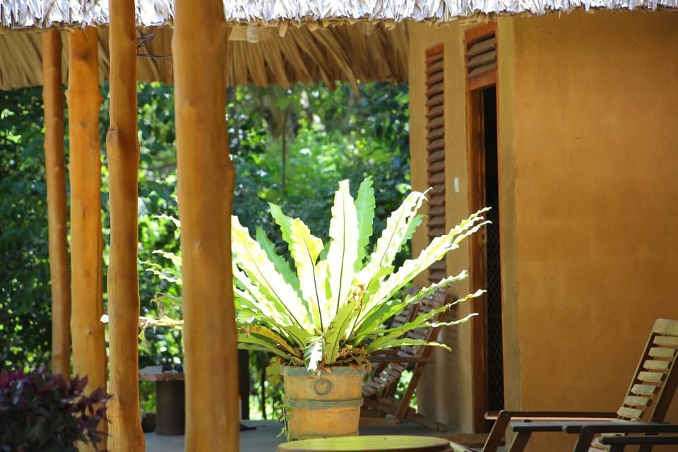 Private Organic House Bed and Breakfast in Uva Province, Sri Lanka