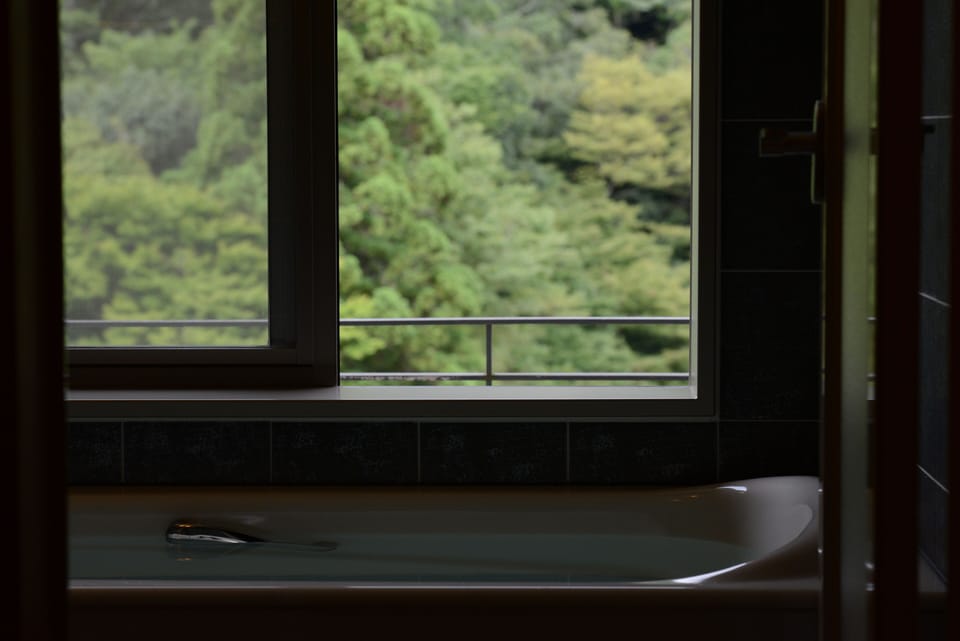 Combined shower/tub, deep soaking tub, free toiletries, hair dryer