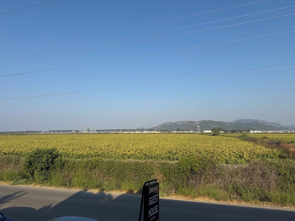 View from room