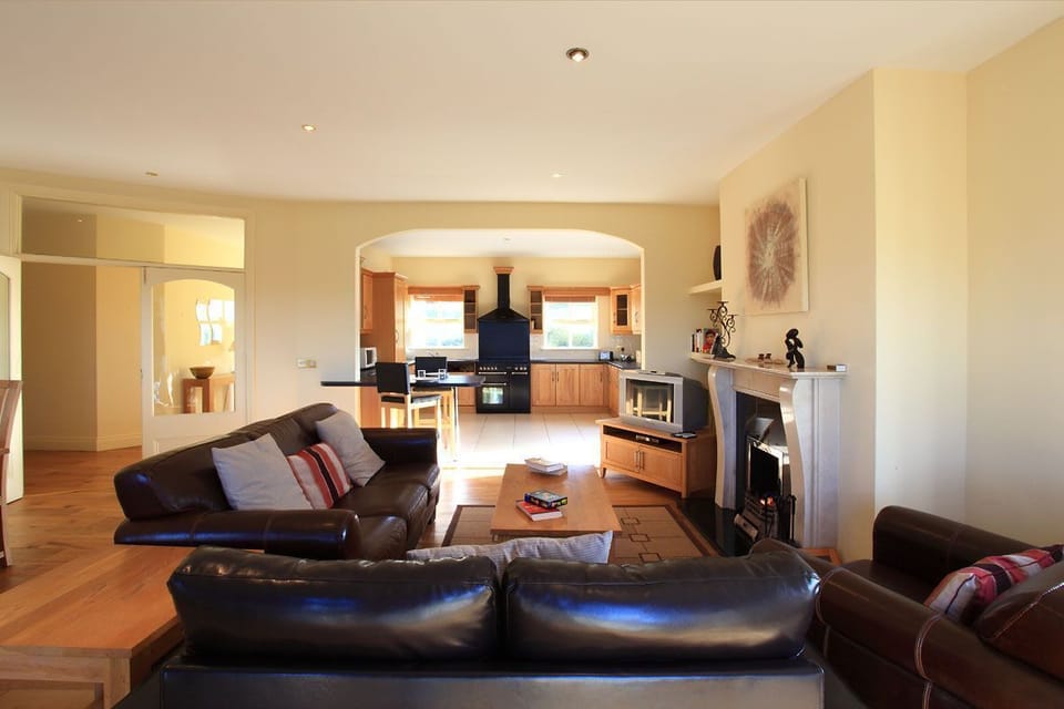 Deluxe Villa | Living room | Flat-screen TV, fireplace, DVD player