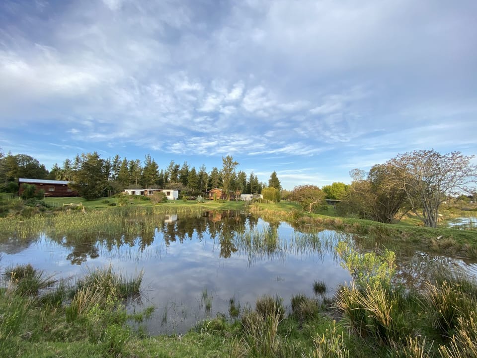 Nguni Forest Lodge 3 (6 adults/2 kid) | View from room